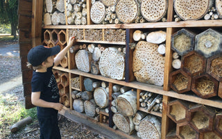 Build a Bee Hotel