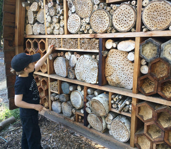 Build a Bee Hotel