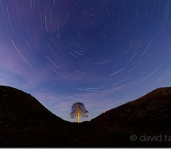 Weekend Assignment: Painting with Light