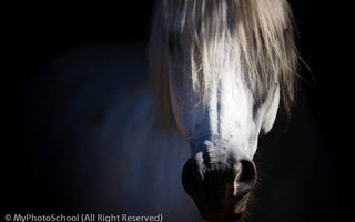 Depth of Field Explained