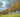 Plants for windbreaks