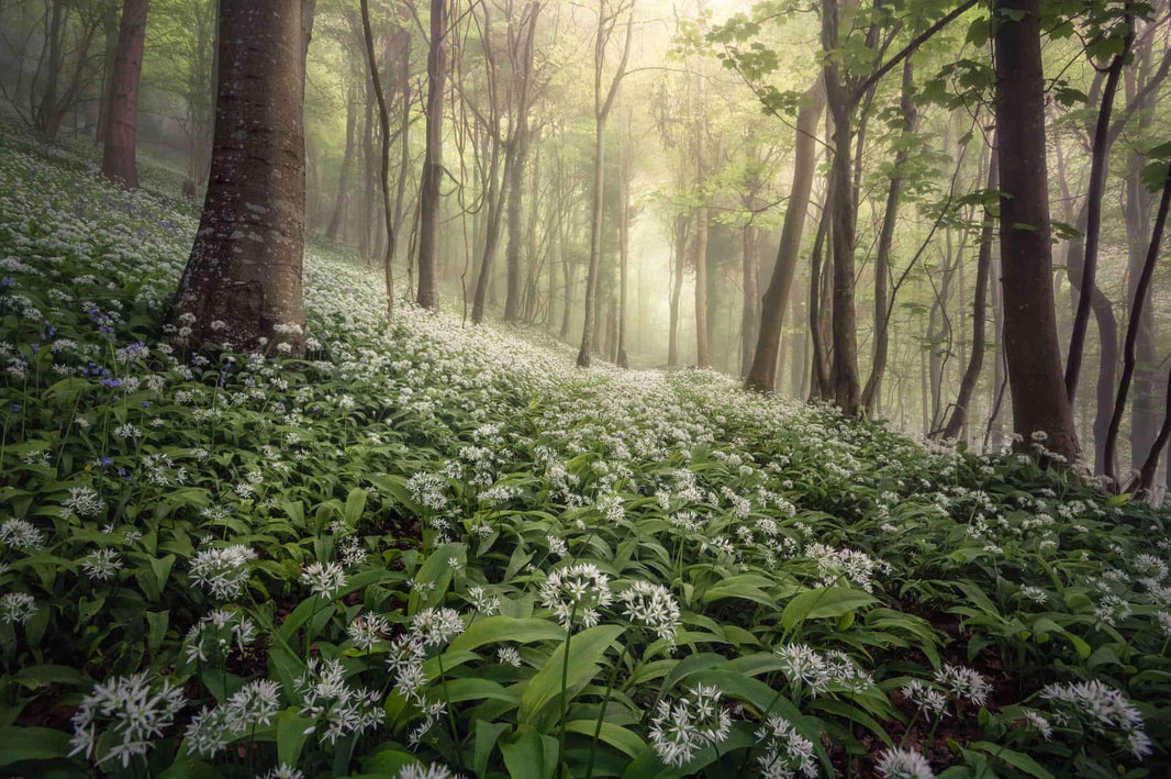 Best landscape images revealed