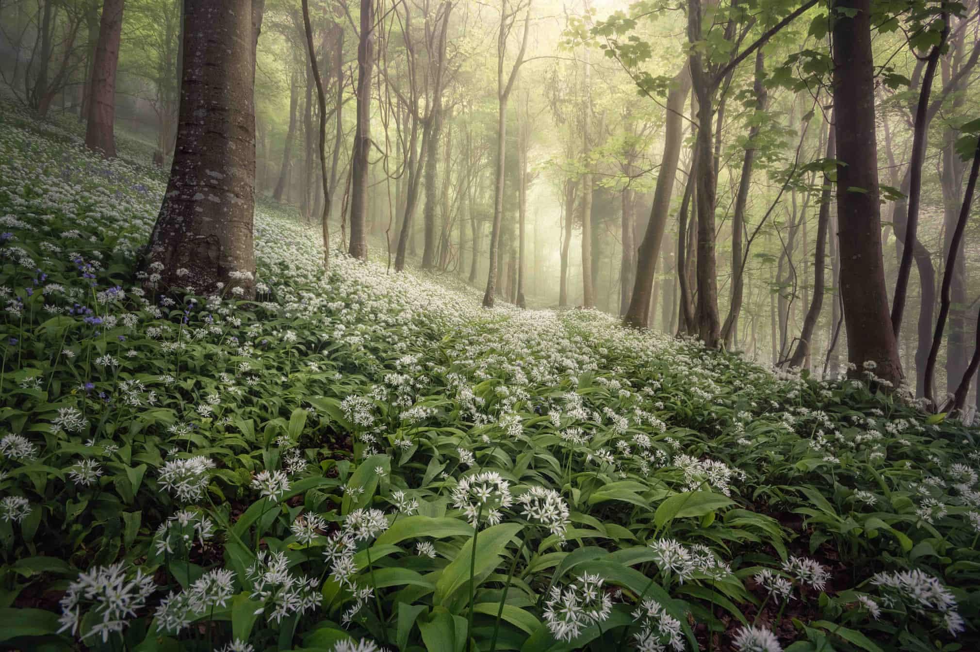 Best landscape images revealed