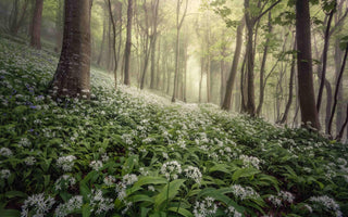 Best landscape images revealed