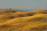 How To Take Better Landscape Pictures