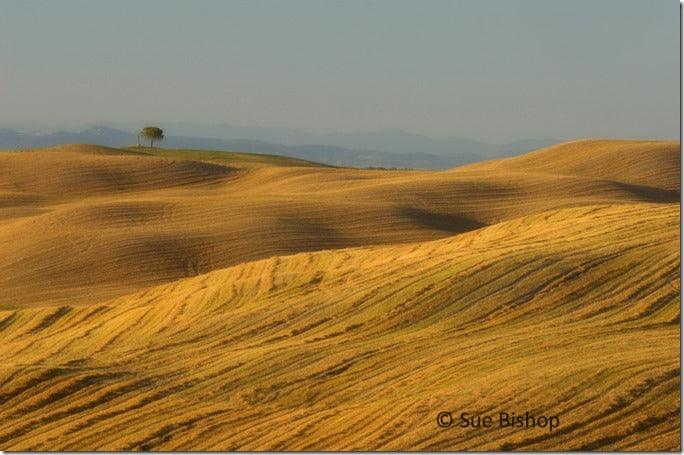 How To Take Better Landscape Pictures