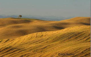 How To Take Better Landscape Pictures