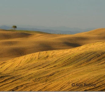 How To Take Better Landscape Pictures