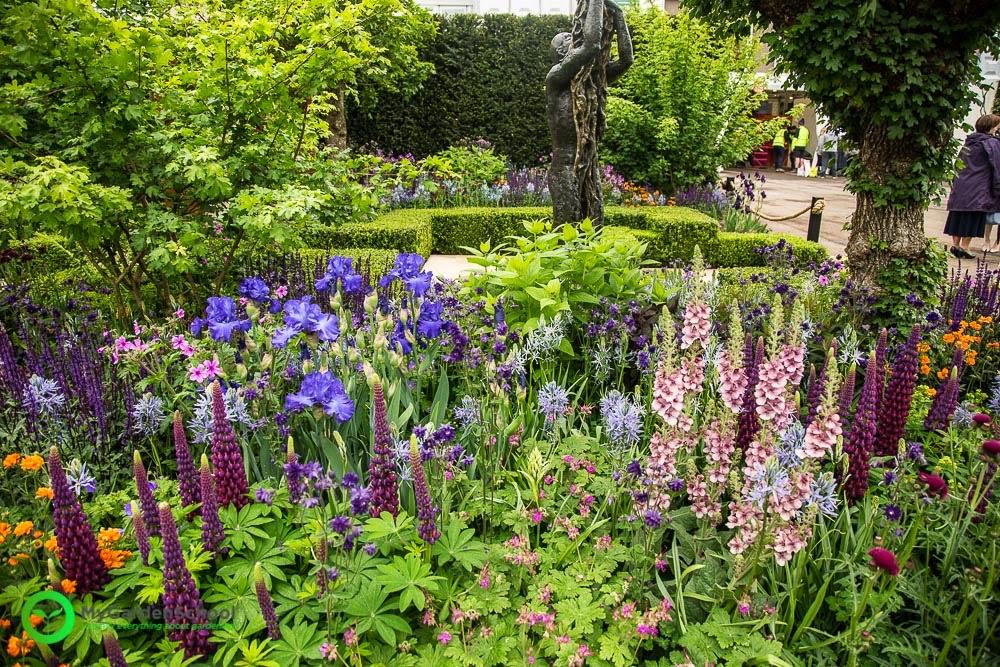 The Healthy Cities Garden Chelsea Flower Show 2015