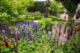 The Healthy Cities Garden Chelsea Flower Show 2015