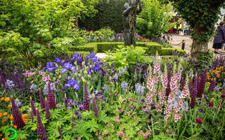 The Healthy Cities Garden Chelsea Flower Show 2015