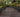 Paving the way at RHS Chelsea Flower Show