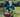 River Cottage first online accredited cookery course