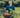 River Cottage first online accredited cookery course
