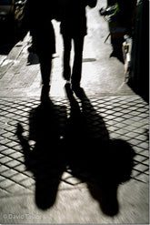 Creative Use of  Shadows in Your Photography