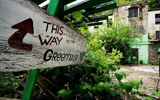 A Compendium of Abandoned Greenhouses
