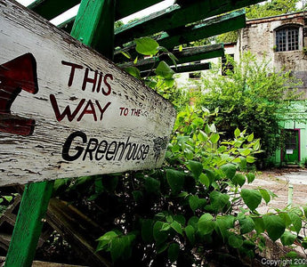 A Compendium of Abandoned Greenhouses