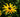 Why You Musn't Hate Yellow Flowers