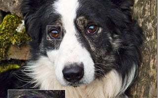 Image Noise: Why It Occurs And How to Avoid It