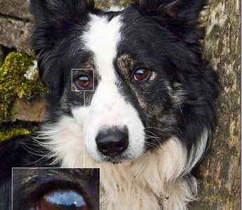 Image Noise: Why It Occurs And How to Avoid It