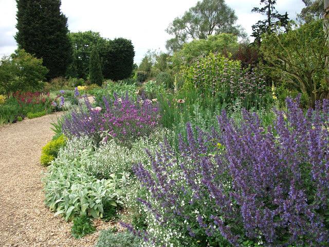 Right Plants: Right Place - Plants Must Thrive Not Just Survive