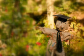 Where can I take Gardening Classes in September?