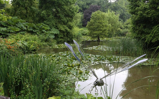 The New Hillier Manual of Trees and Shrubs