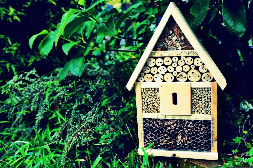 How to attract beneficial insects to your garden: with an insect hotel