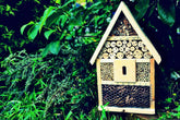 How to attract beneficial insects to your garden: with an insect hotel