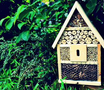 How to attract beneficial insects to your garden: with an insect hotel