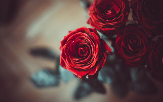 How To Keep Roses Fresh and Beautiful