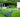 Topiary: Trendy or Twee?
