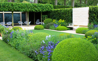 Topiary: Trendy or Twee?