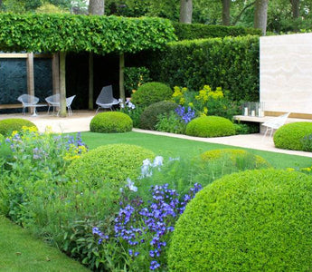 Topiary: Trendy or Twee?