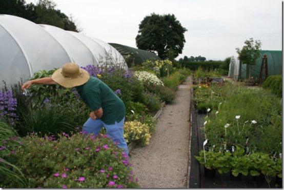How To Start A Nursery