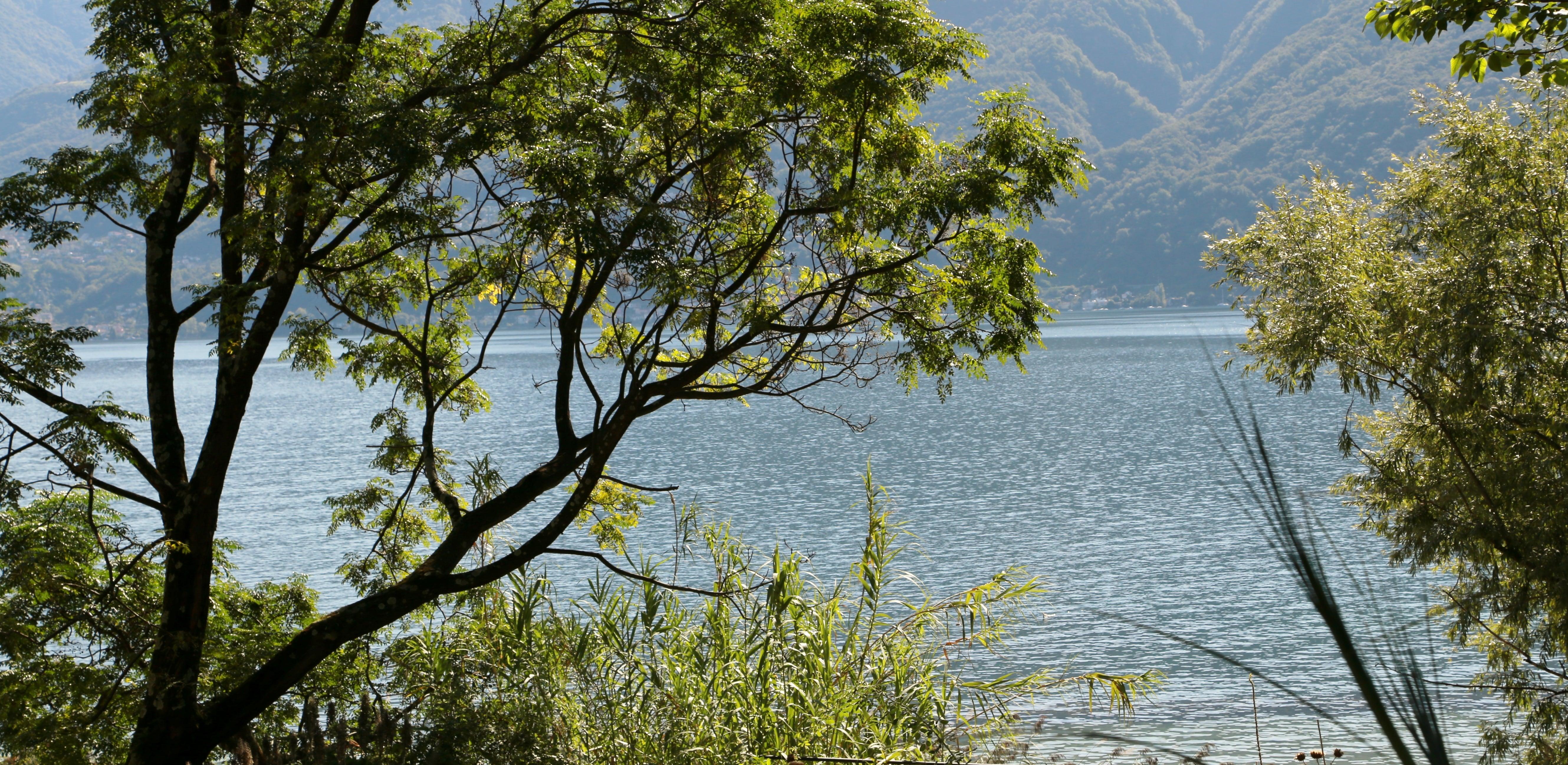 The Botanical Gardens Of The Brisago Islands