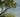 The Botanical Gardens Of The Brisago Islands