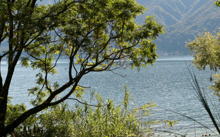 The Botanical Gardens Of The Brisago Islands