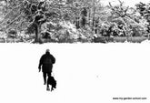 I'm dreaming of a White Christmas..