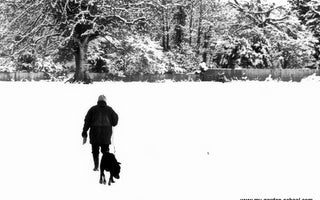 I'm dreaming of a White Christmas..