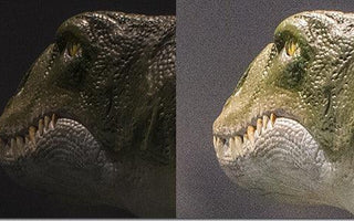 Exposing to the Right: How to Maximise Image Quality