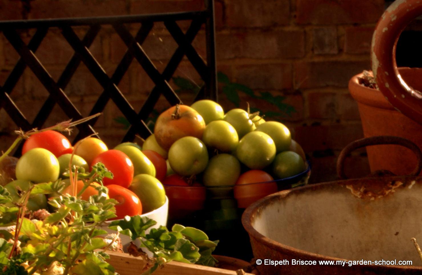 Growing vegetables in containers; For Your Space