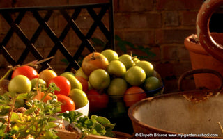 Growing vegetables in containers; For Your Space