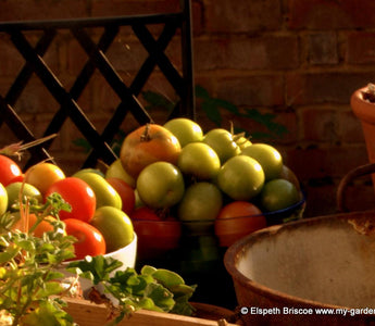 Growing vegetables in containers; For Your Space