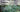 Plant Selection: Learning from Nature Volume 1