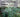 Plant Selection: Learning from Nature Volume 1