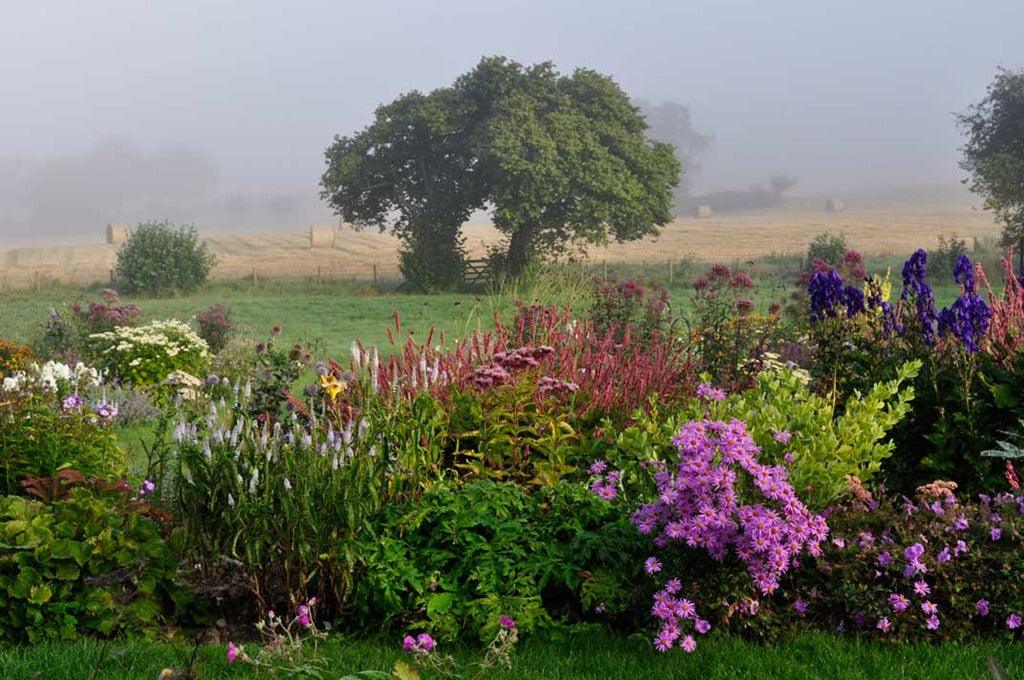 Book Review: Claire Austin's Book of Perennials