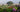 Book Review: Claire Austin's Book of Perennials