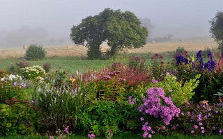 Book Review: Claire Austin's Book of Perennials