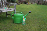 How to control moss on your lawn - organically
